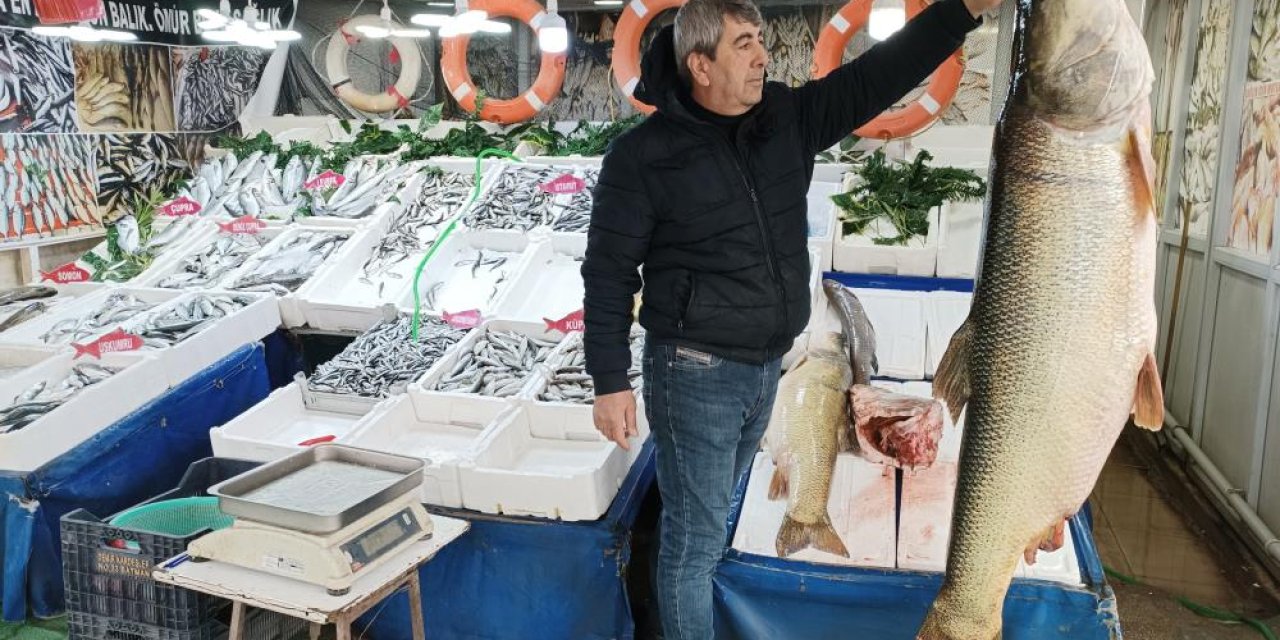 Elazığ Keban barajında yakalan dev turna balığı tezgâhta yoğun ilgi gördü