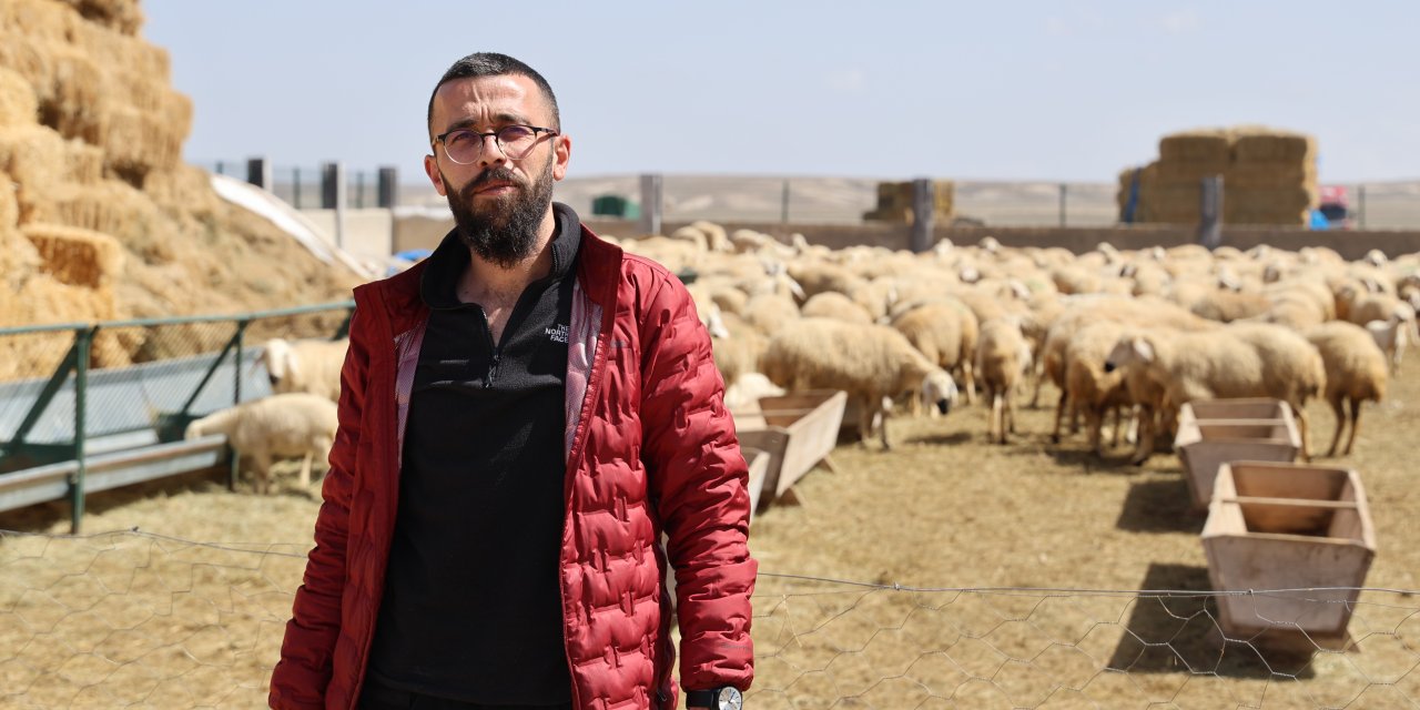 42 bin lira maaşa rağmen çoban bulunamıyor