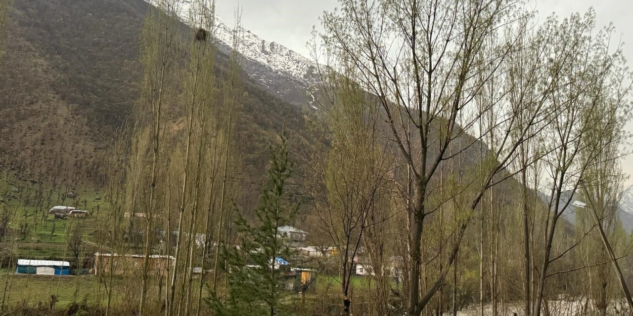 Dolu yağışı Şırnak'ta etkili oldu