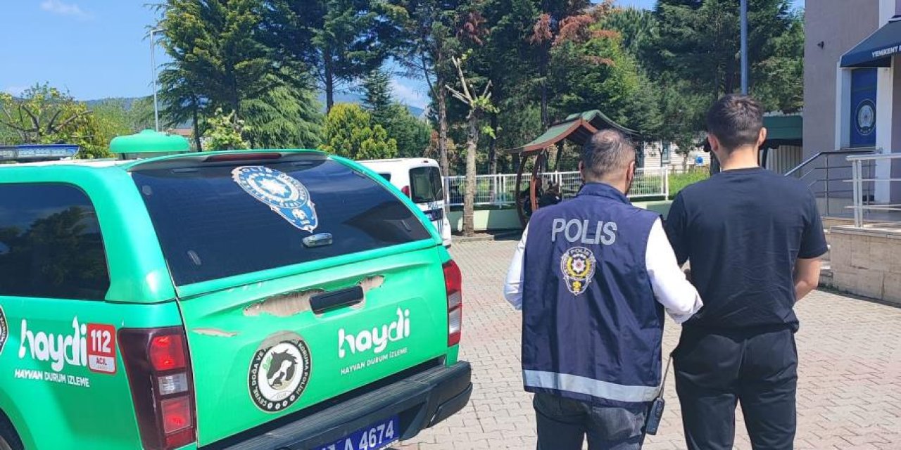 Bu kadarına da pes: Köpeğe alkol içirerek o anları sosyal medya hesabından paylaştı