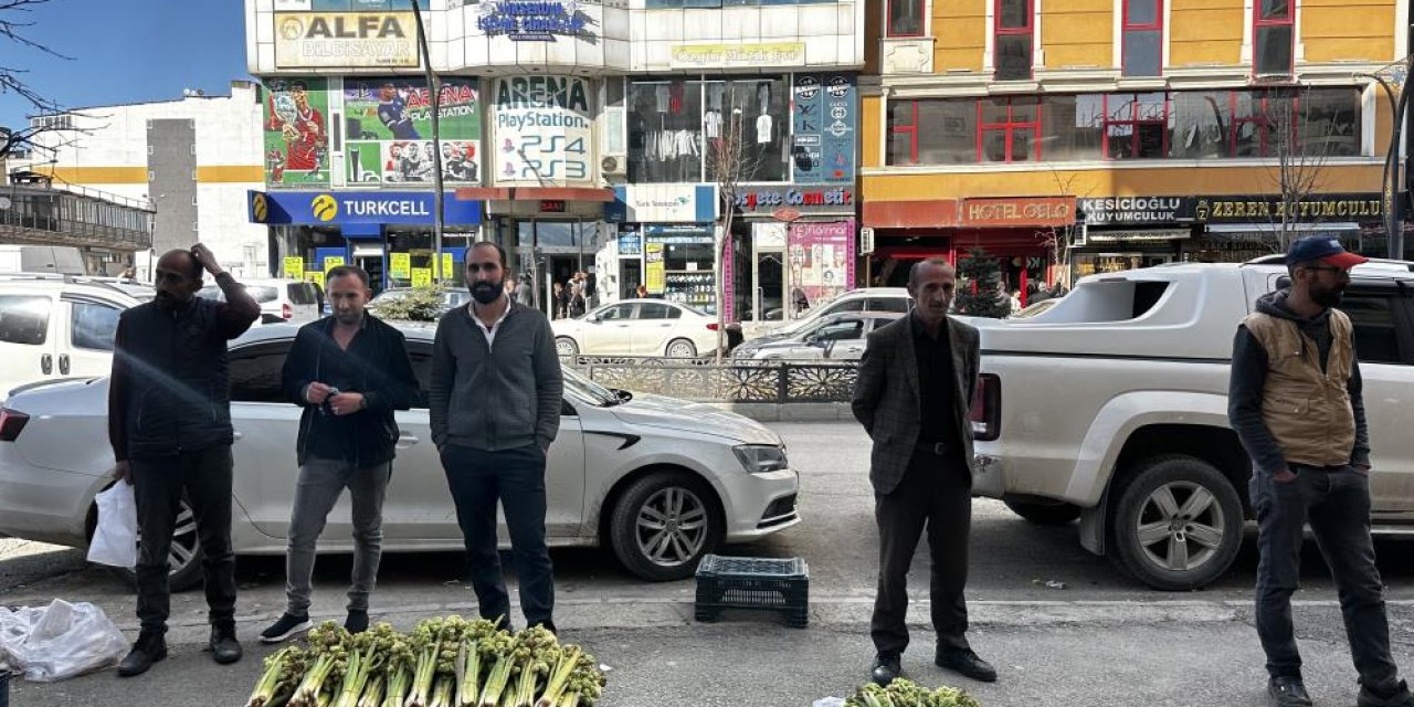 Doğadan toplanan ‘yayla muzu’ 100 TL'den satışa çıkartıldı