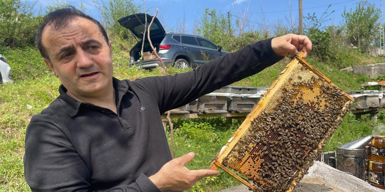 Anzer balı üretimi yapan arıcılar yeni sezondan ümitli