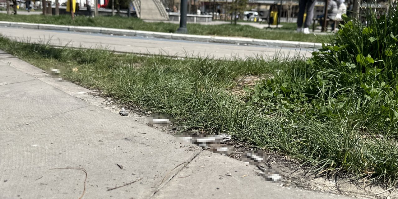 Yüksekovanın tek parkı izmarit çöplüğüne döndü
