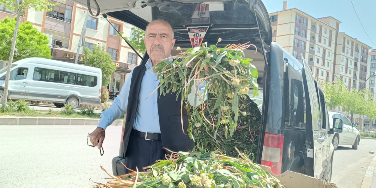 Şırnak’ta Soryaz tezgahlarda yerini aldı, kilosu cep yakıyor!