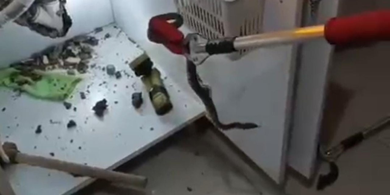 Şanlıurfa'da  bir evin mutfağına yılan girdi: İtfaiye ekipleri harekete geçti
