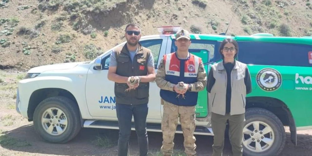 Bitlis'te keklik avlayan 2 kişiye 26 bin 635 lira para cezası uygulanacak