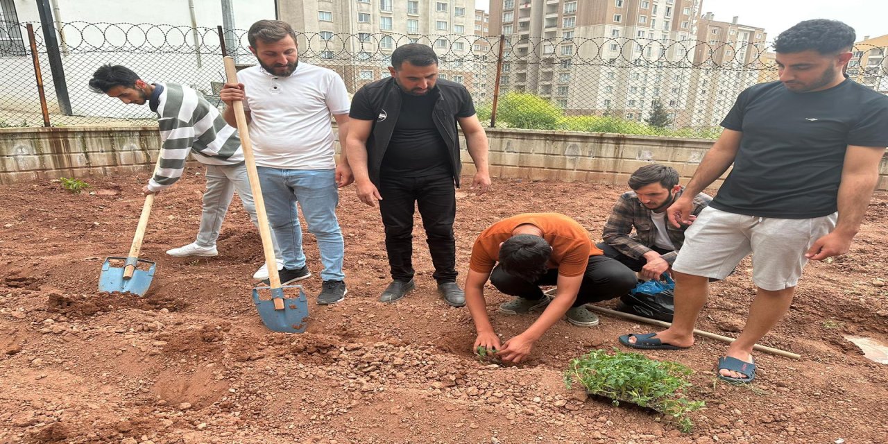 Şırnak KYK yurdunda hobi bahçesi
