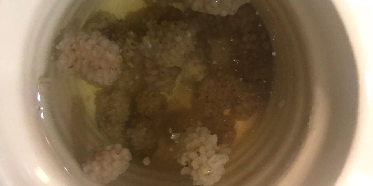 Kaynamış suyun içine dut koyup bekletmenin faydası. Eskilerimiz hep o soruna karşı denermiş