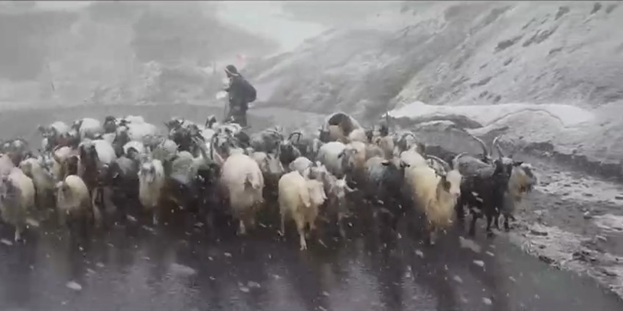 Karda Mahsur Kalan Kuzulara Okul Müdüründen Kurtarma Operasyonu