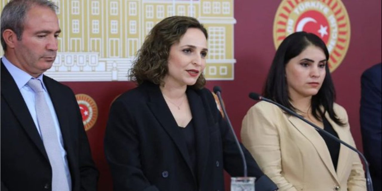 DEM Şırnak Milletvekilleri, Cizre’nin afet bölgesi olarak ilan edilmesini istedi