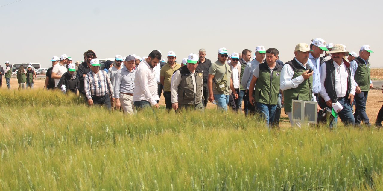 TİGEM Projesi: Dünyanın Tek Parça Halindeki En Büyük Arazisinde Deneme Ekimi