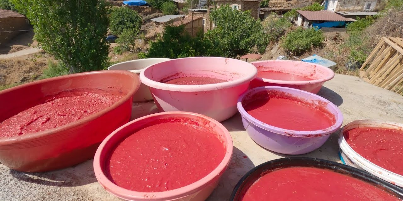 Kışlık salça yaparken bilmeniz gereken 5 şey! Salça asla bozulmuyor