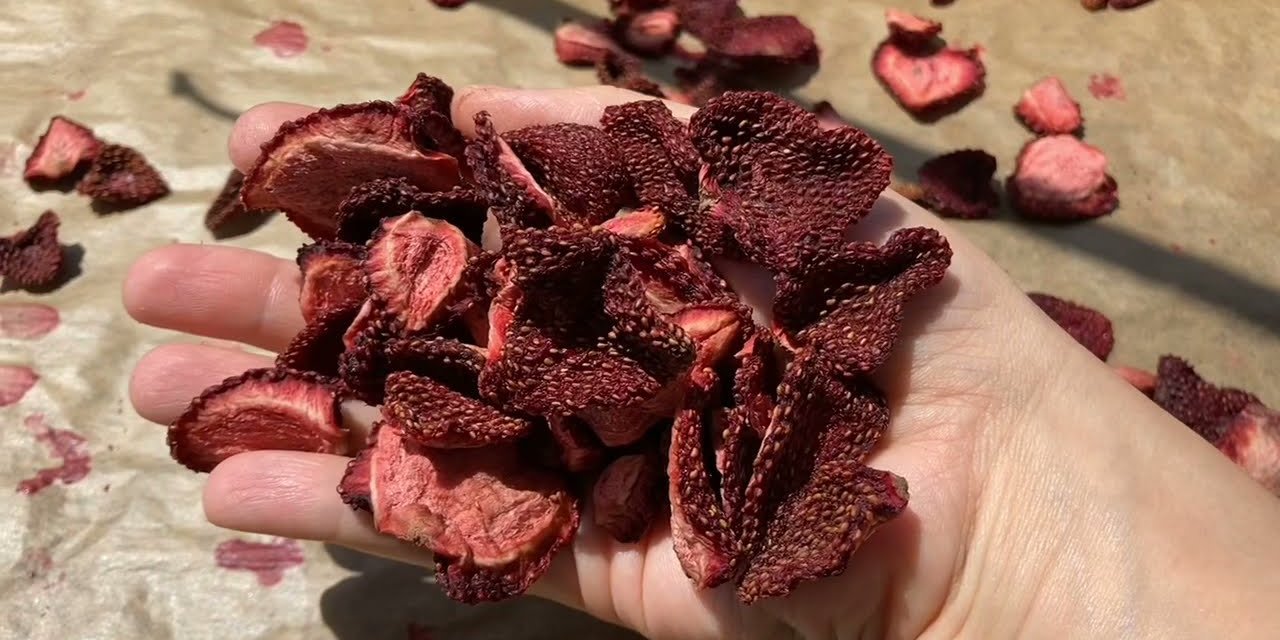 Evde kış için çilek nasıl kurutulur? İşte çilek kurutma yöntemi