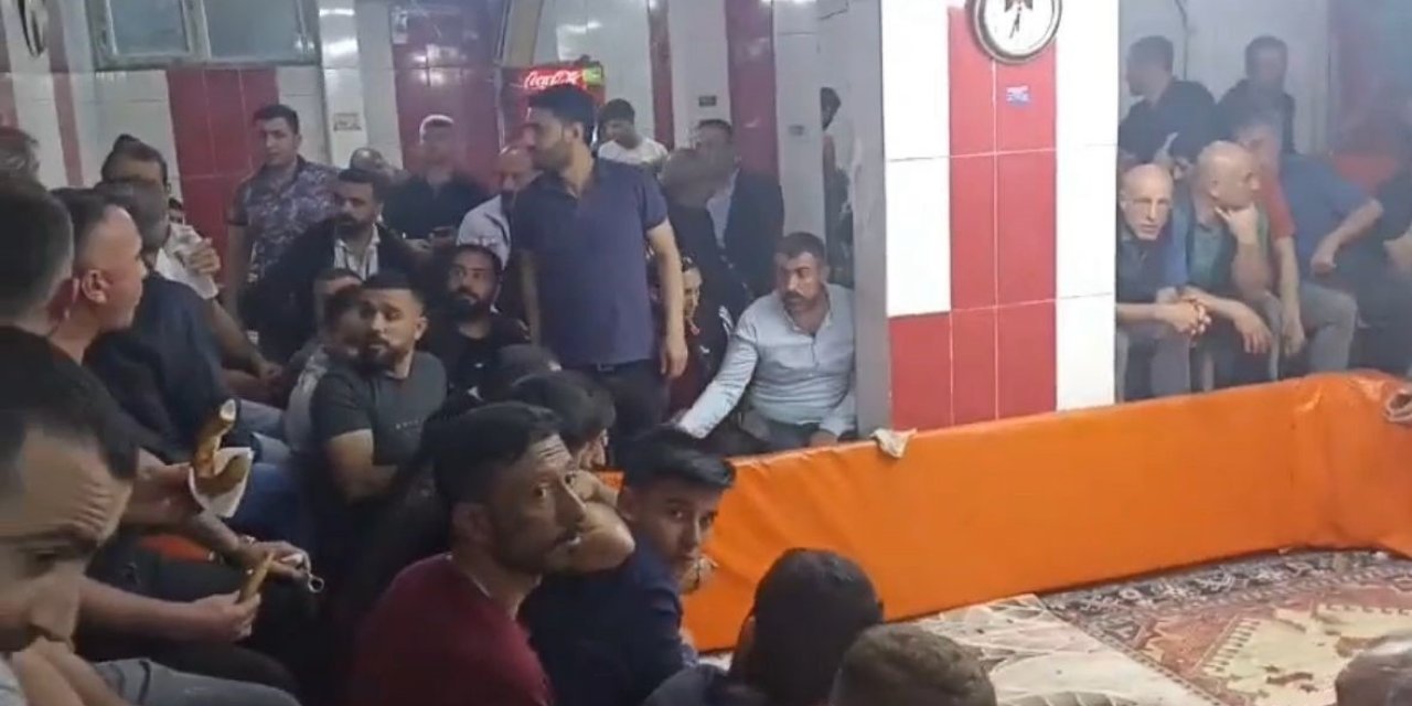 Horoz Koruma Derneğine ‘Horoz Dövüşü' operasyonu: 7 gözaltı
