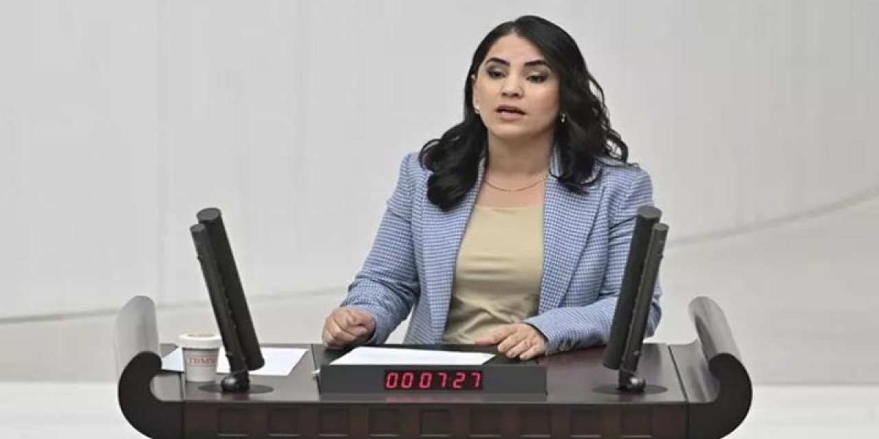 Şırnak Milletvekili Aslan, TBMM'de Sağlık Sorunlarını Gündeme Getirdi