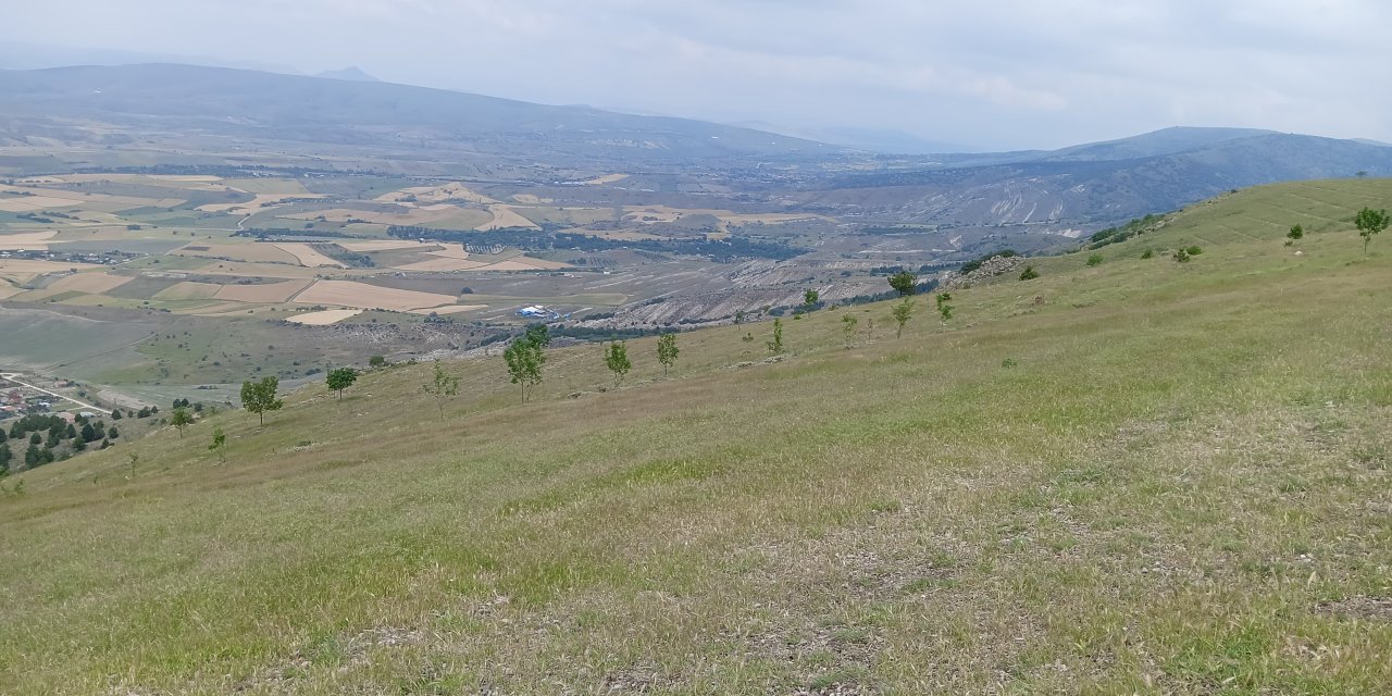 İki  paraşüt birbirine dolanarak yere çakıldı: 1 ölü 2 yaralı