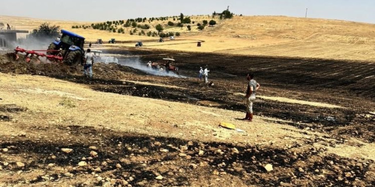 Nusaybin'de sınır hattında ekili buğday küle döndü