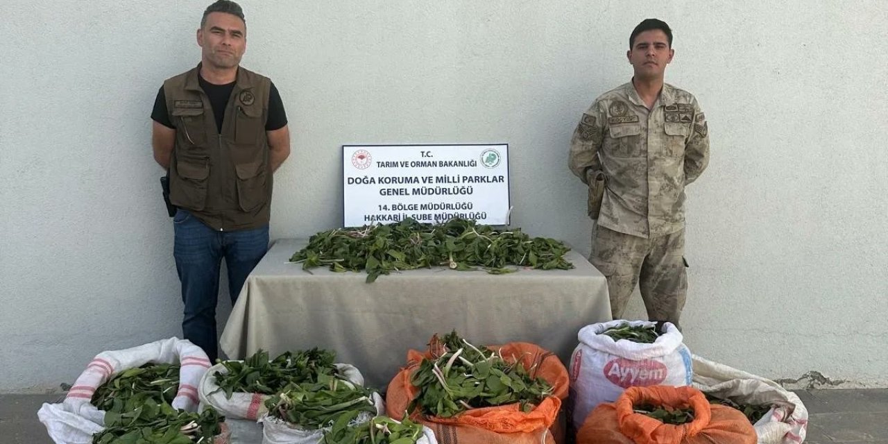 2 çuval Hakkari soğanını İran’a götürmek isterken yakalandı, 1 milyon 161 bin 423 TL ile cezalandırıldı