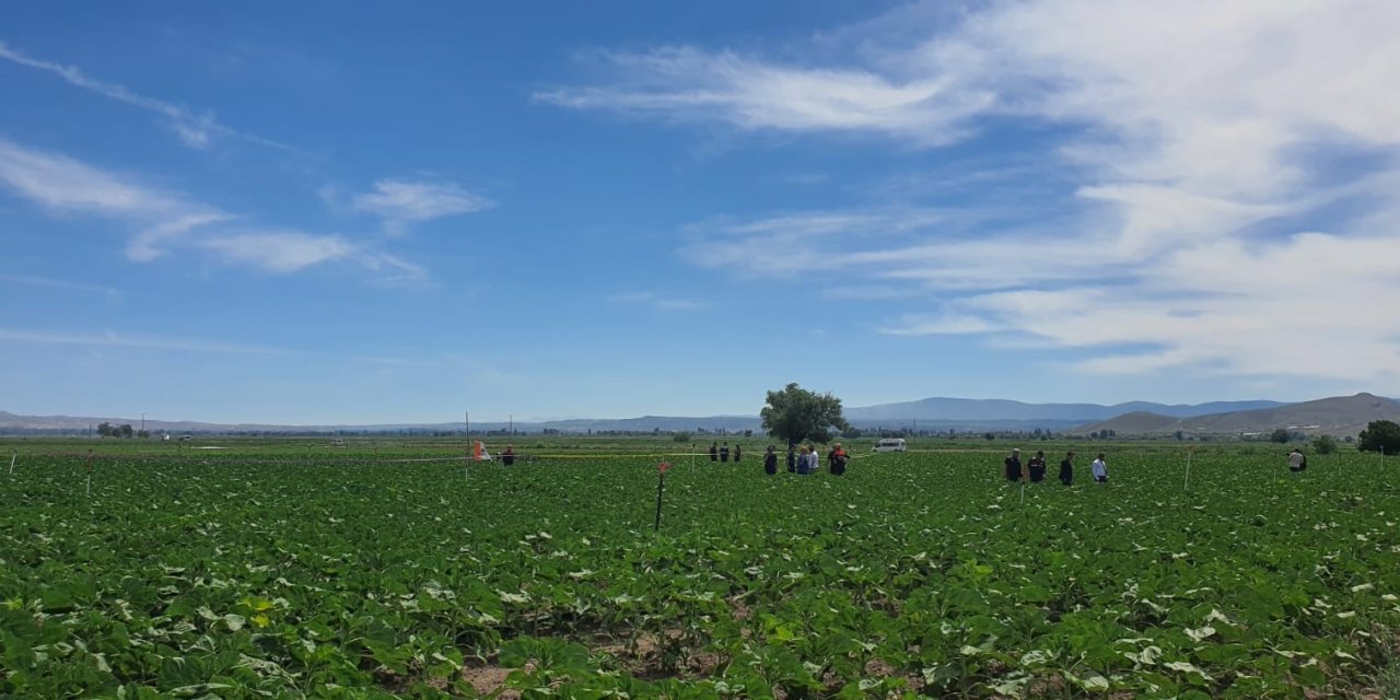 Kayseri'de eğitim uçağı düştü