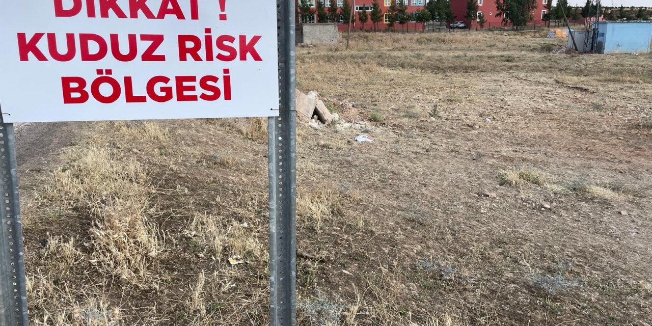 Şanlıurfa’da kuduz vakası: 2 mahalle karantinaya alındı