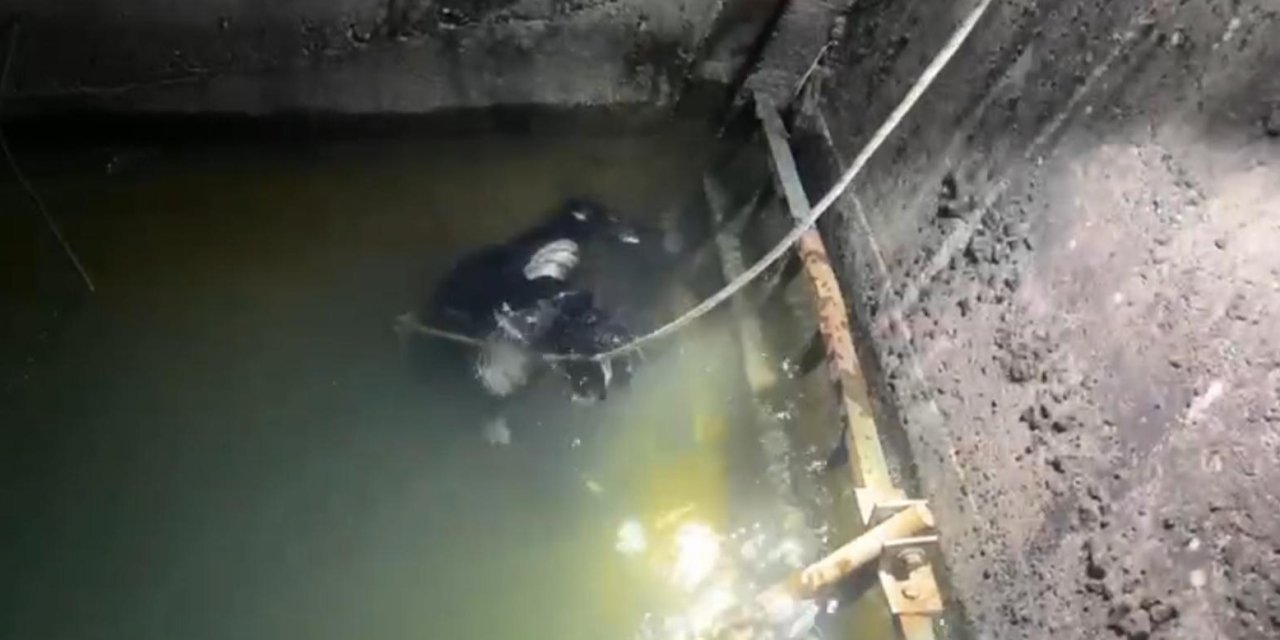 Batman'da suda kaybolan çobanın arama çalışmaları sürüyor