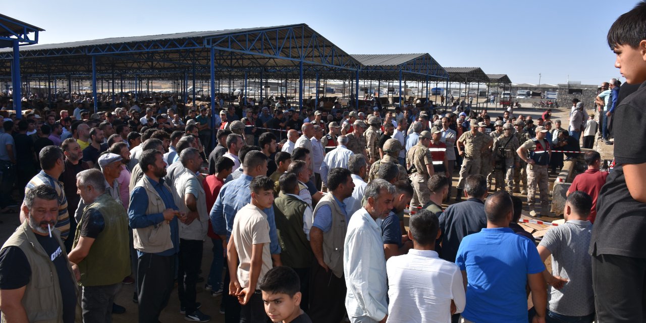 Hayvan pazarında silahlı kavga: 1 ölü, 5 yaralı