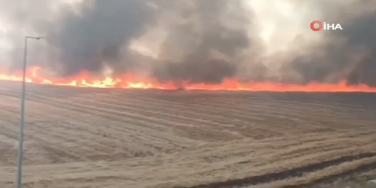 Siverek'te yangın: 100 dönüm arazi ve 200 ton saman kül oldu
