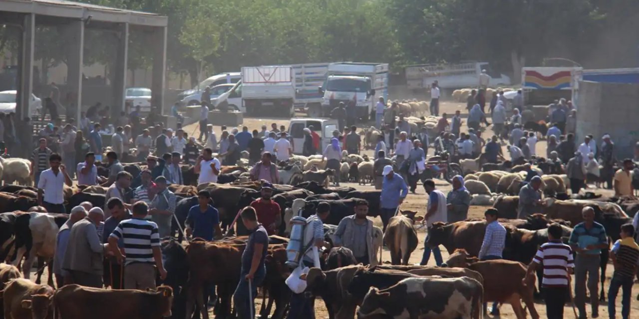 Diyarbakır'da hayvan pazarlarında bayramın son günü yoğunluk arttı