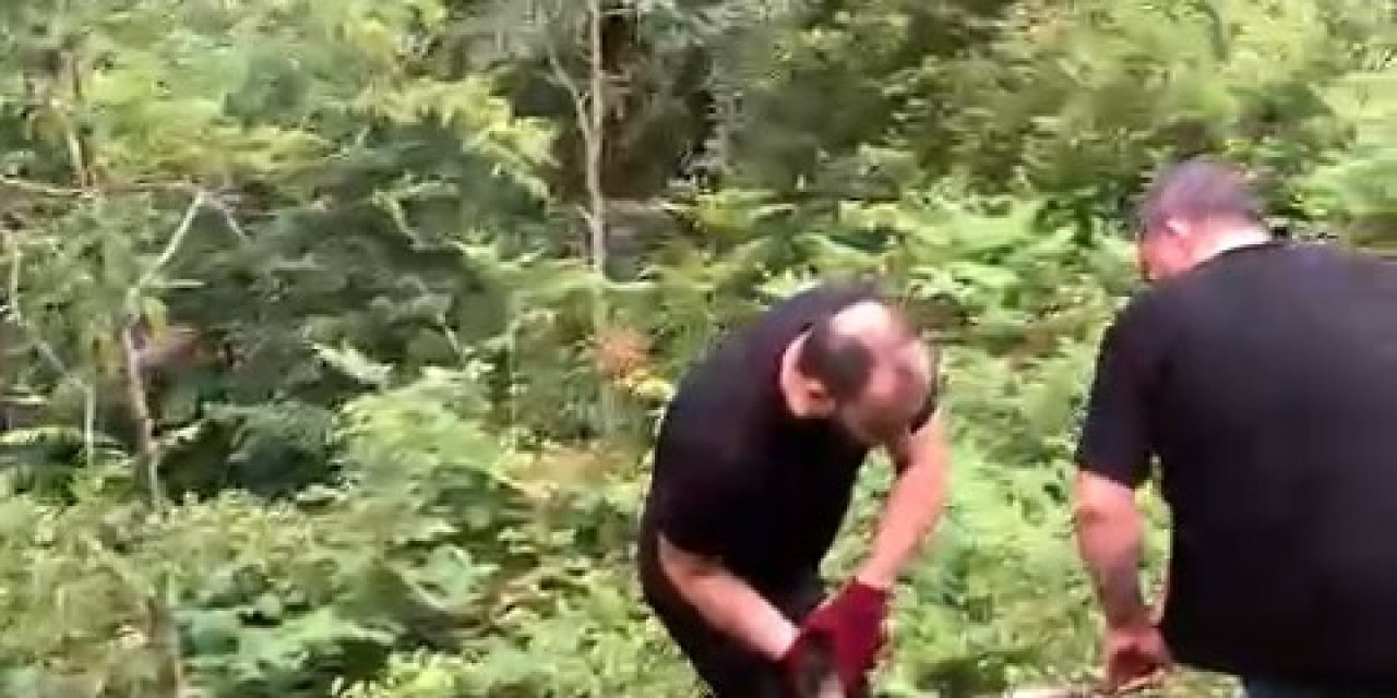 Rize'de Bayramın İlk Gününde Kaçan Keçi, 3 Gün Sonunda Sarp Dağlık Alanda Bulundu