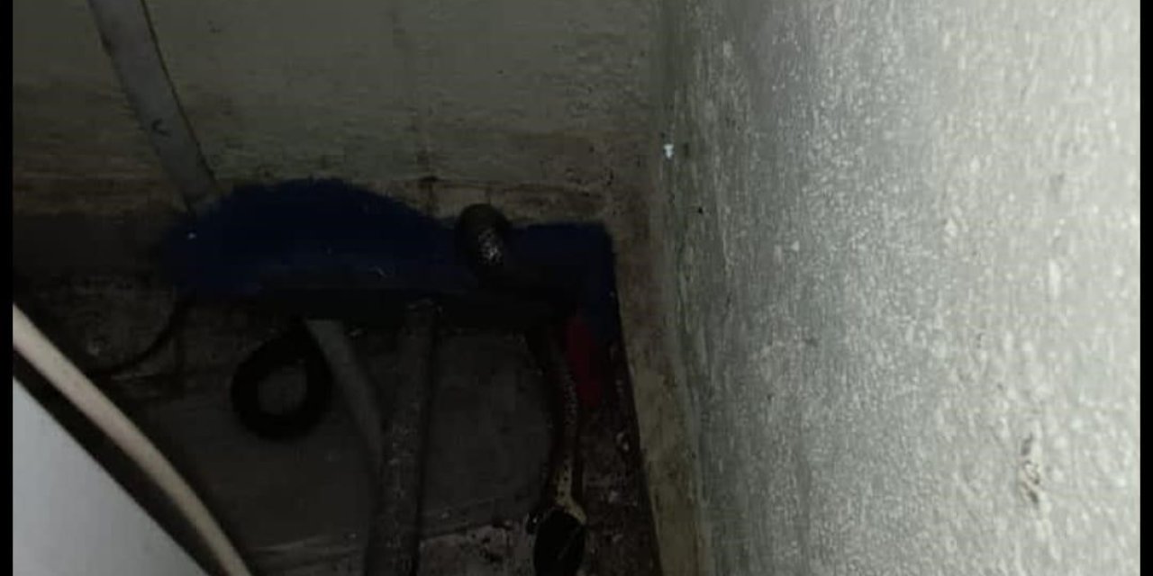Hatay'da eve giren yılanı itfaiye yakaladı