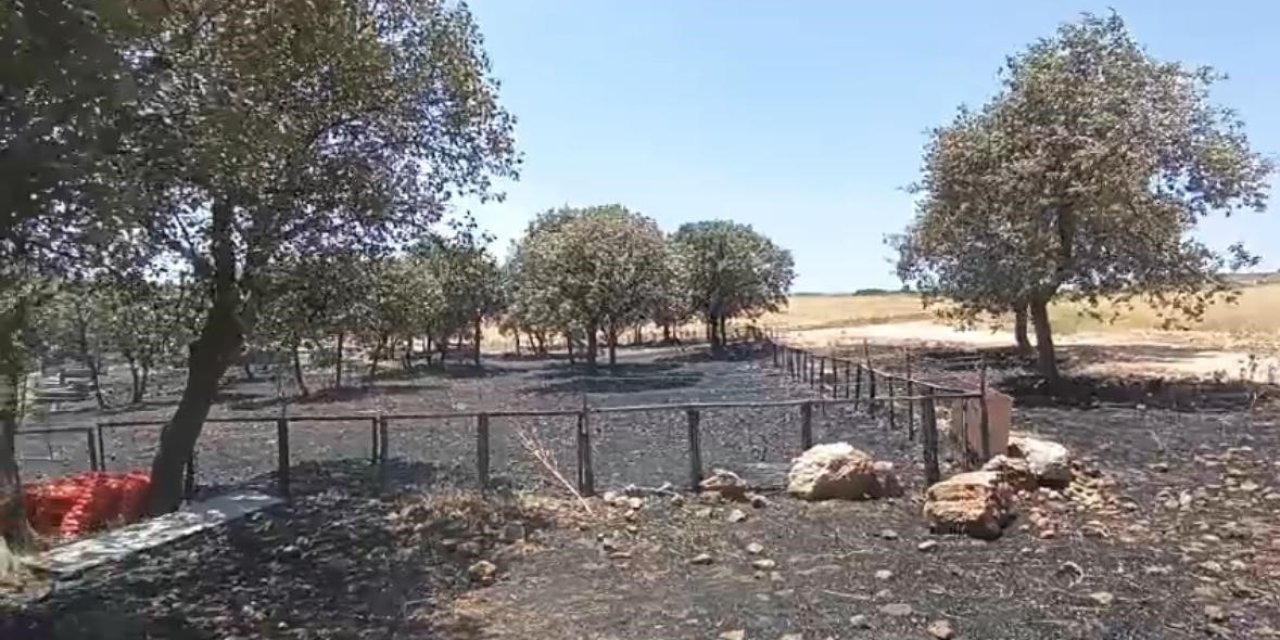 Diyarbakır ve Mardin'deki yangının çıkış sebebi araştırılıyor
