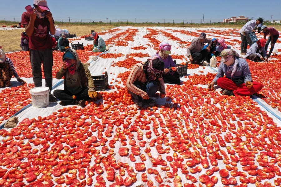 'AKÇA KADINLAR' HEM ÜRETİYOR HEM İHRAÇ EDİYOR