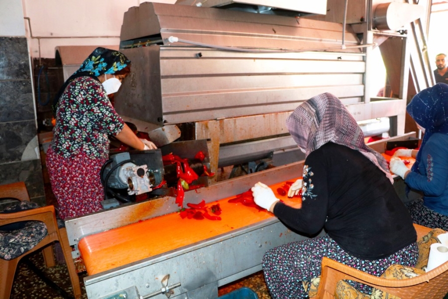 Vatandaşların salça talebine yetişmek için yoğun mesai harcıyorlar