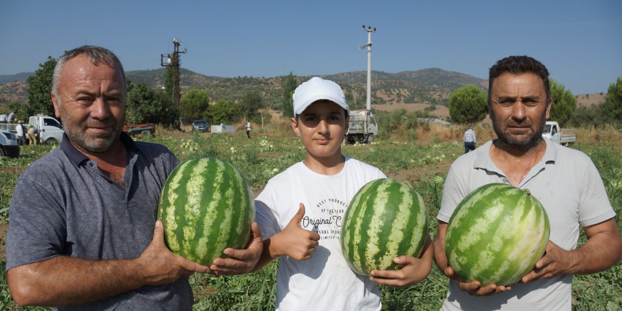 Adana'nın sıcağı Aydın'a yaradı