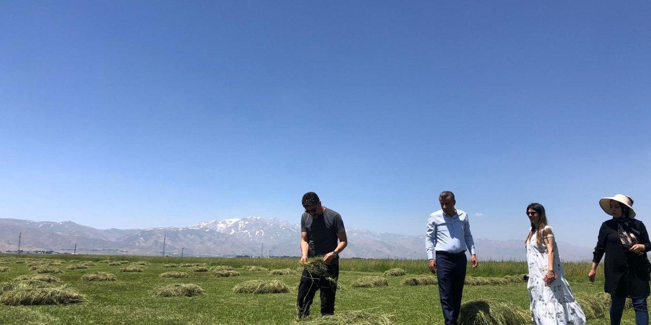 Hakkari Yüksekova’da yağışlar çiftçilerin yüzünü güldürdü