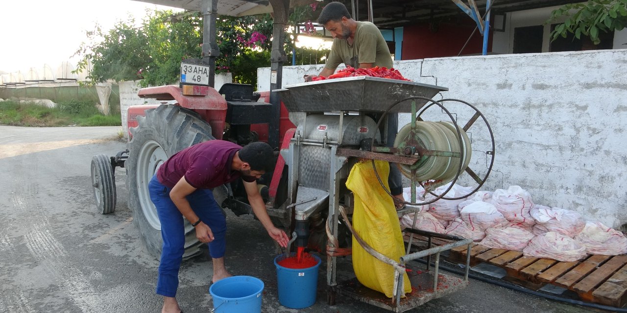 Mersin'de biber salçası üretimi başladı