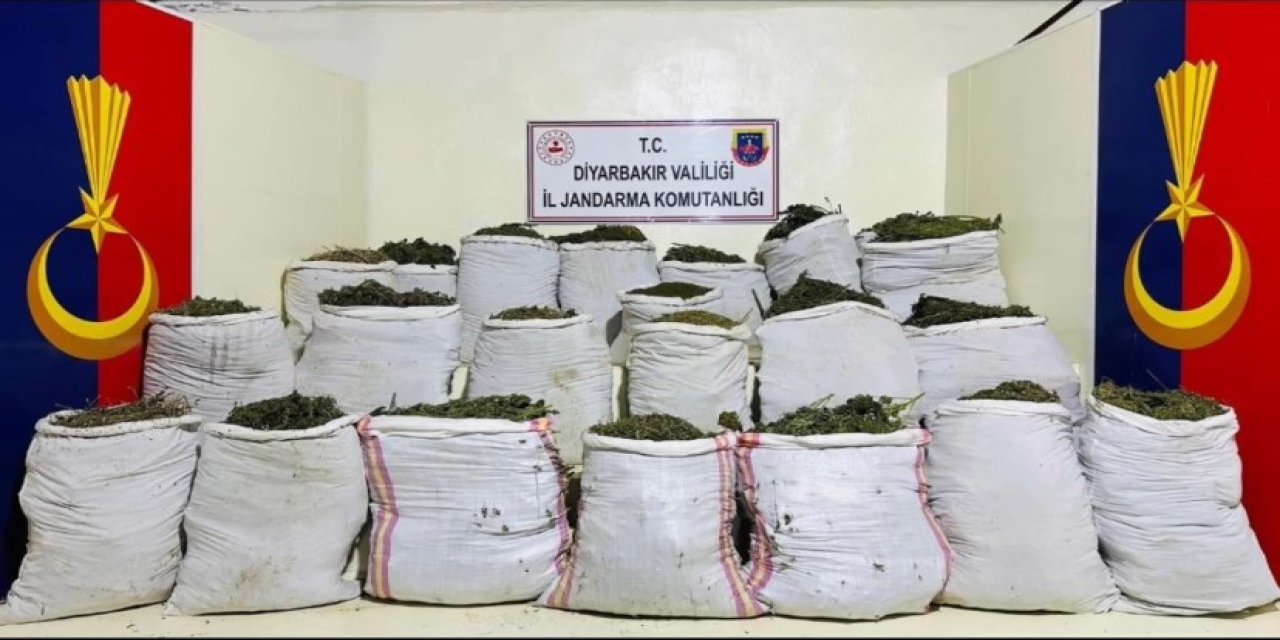 Diyarbakır'da 1 milyon 781 bin kök kenevir ve skunk bitkisi ele geçirildi