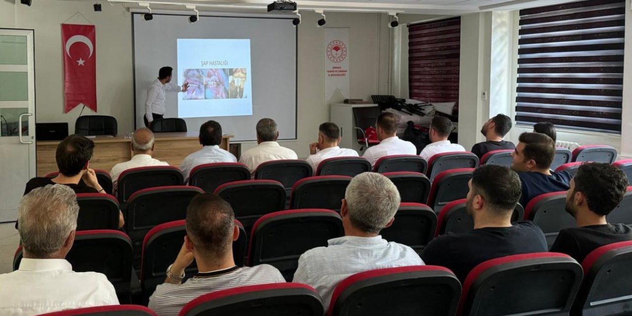 İdil'de Şap Hastalığıyla Mücadelede İl Tarım ve Orman Müdürlüğü Harekete Geçti