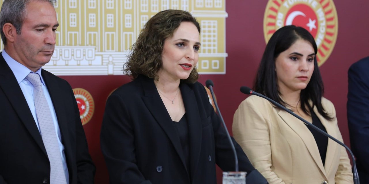 DEM Partili vekiller Gabar Dağı'ndaki Petrol Sondaj Kulesi Kazasını Meclise Taşıdı
