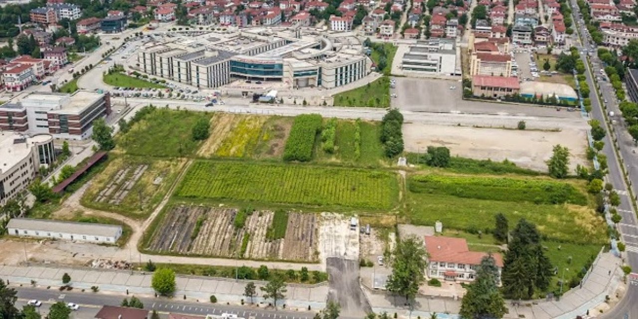 Emekli dostu olan 5 şehir... Bu şehirlerde yaşayanlar daha huzurlu oluyorlar