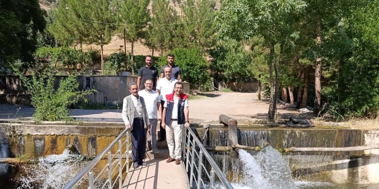Siirt alabalık üretiminde büyük artış gösterdi: 2022 yılında 89 ton'dan 243 Tone Yükseldi
