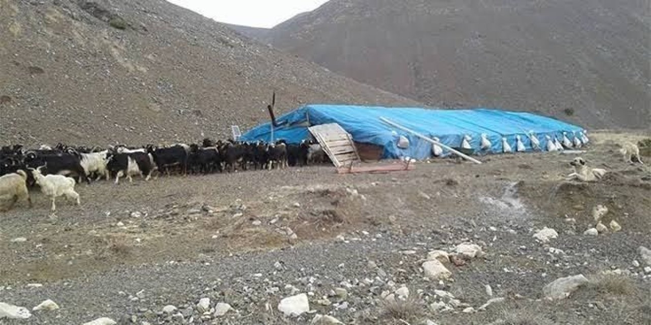 Çobanların Kavgası Cinayet ile sonuçlandı: 1 Ölü 3 Yaralı