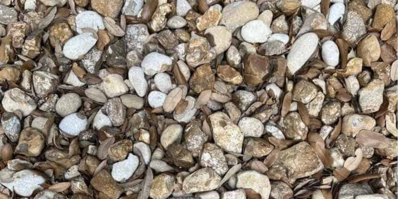 Resimde gizlenen yüzüğü 7 saniyede bulanlar çok zekiymiş : Sen bulabilir misin?
