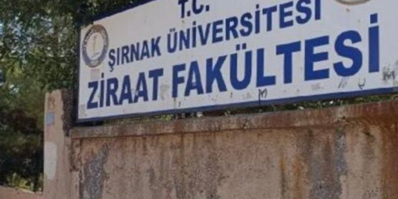 Gelen Tepkiler Üzerine Tatar'dan Açıklama: "İdil Ziraat Fakültesi İdil’de Kalacak, Sözümün Arkasındayım"