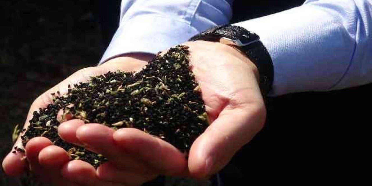 Bir tutam çörek otunun bilinmeyen etkisi: Birçok kişinin bundan haberi yoktu