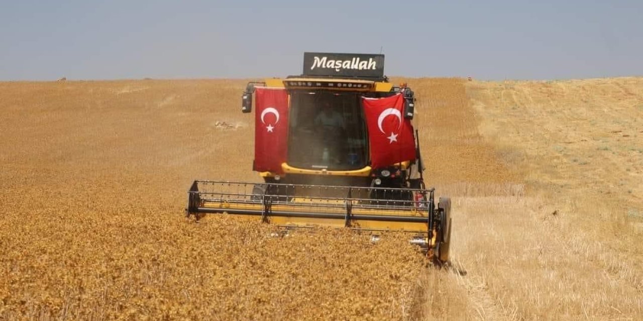 Şanlıurfa'da safir bitkisiyle kuraklığın önüne geçilmesi hedefleniyor