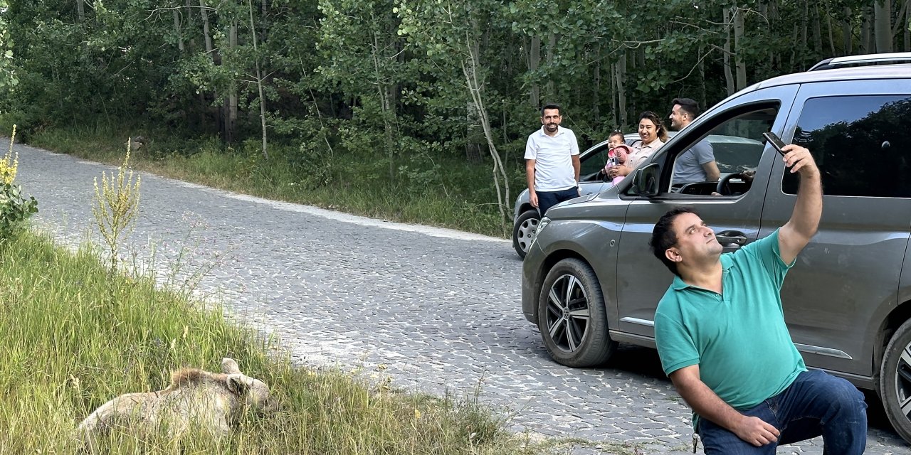 Ayı ile selfie çekip cips ikram ettiler