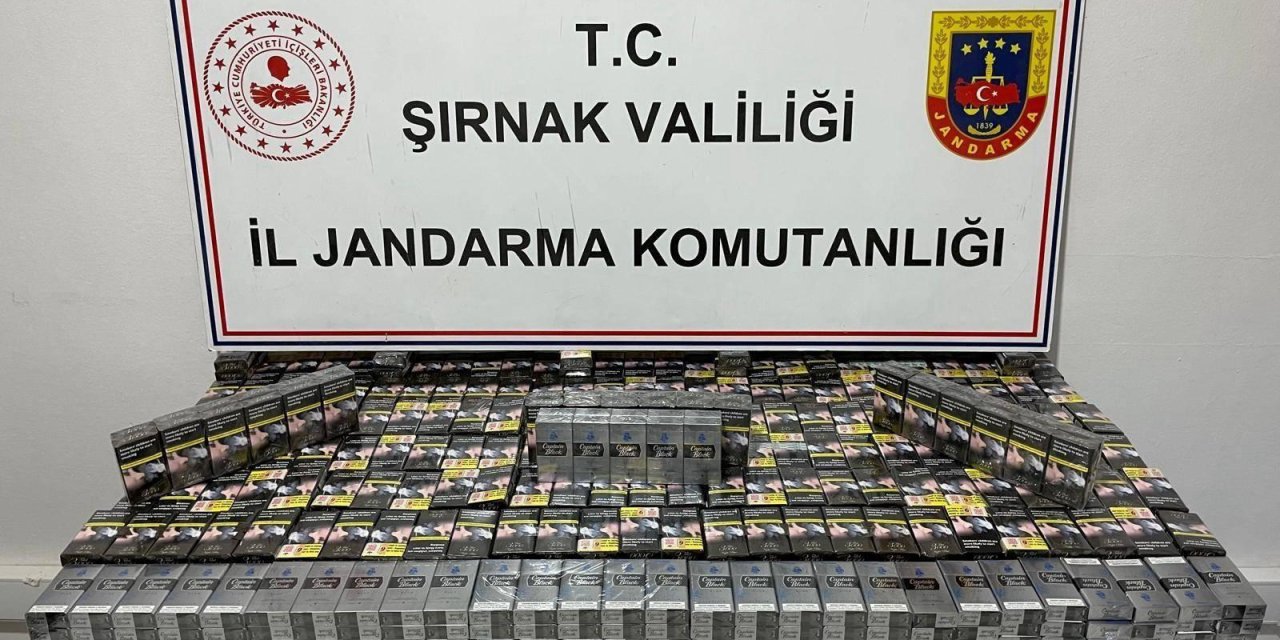 Şırnak'ta Jandarma'dan Gümrük Kaçağı Operasyonu: 16 Gözaltı
