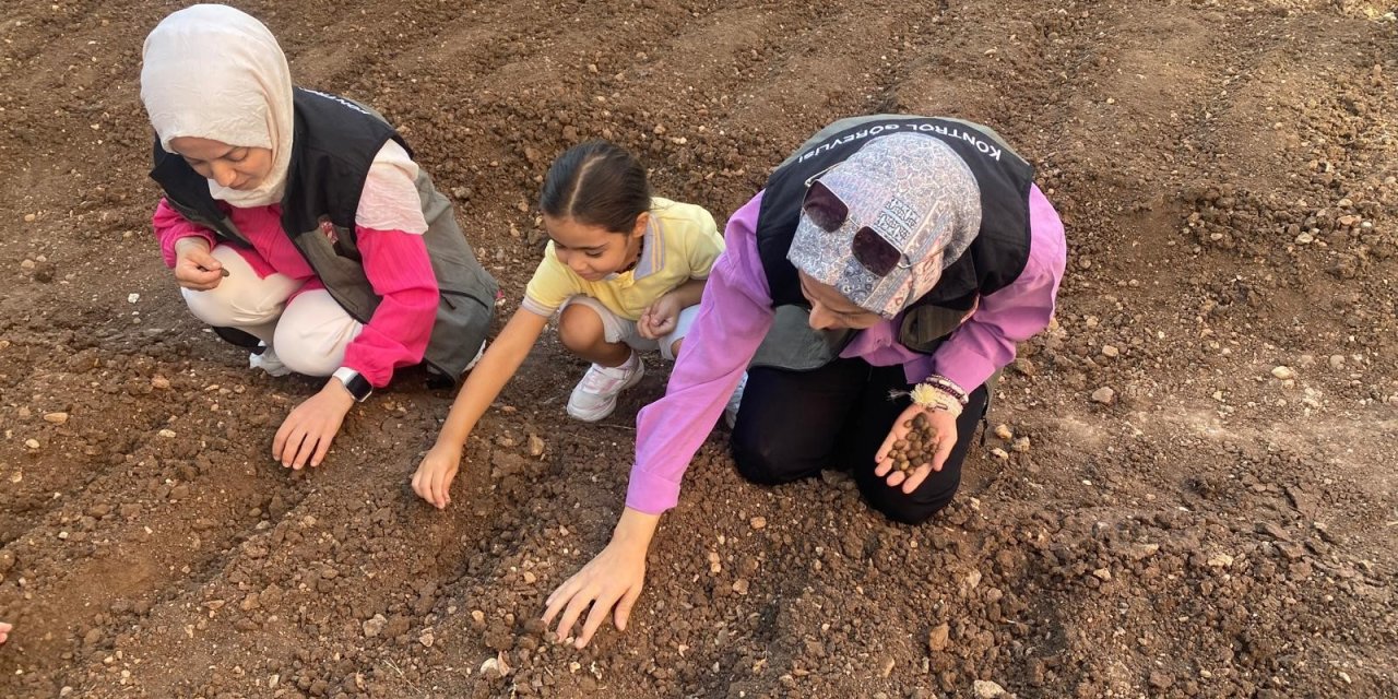 Siirt'te salep bitkisi üretimi için deneme alanı kuruldu