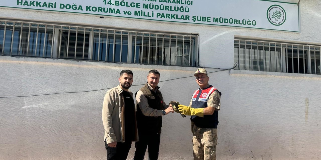 Hakkari Jandarma ekiplerinden doğan yavrusuna şefkat eli